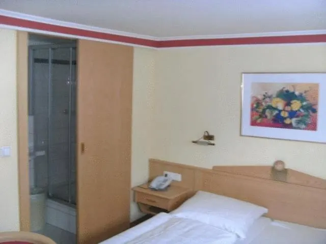 Steiner Nocleg ze śniadaniem 3*